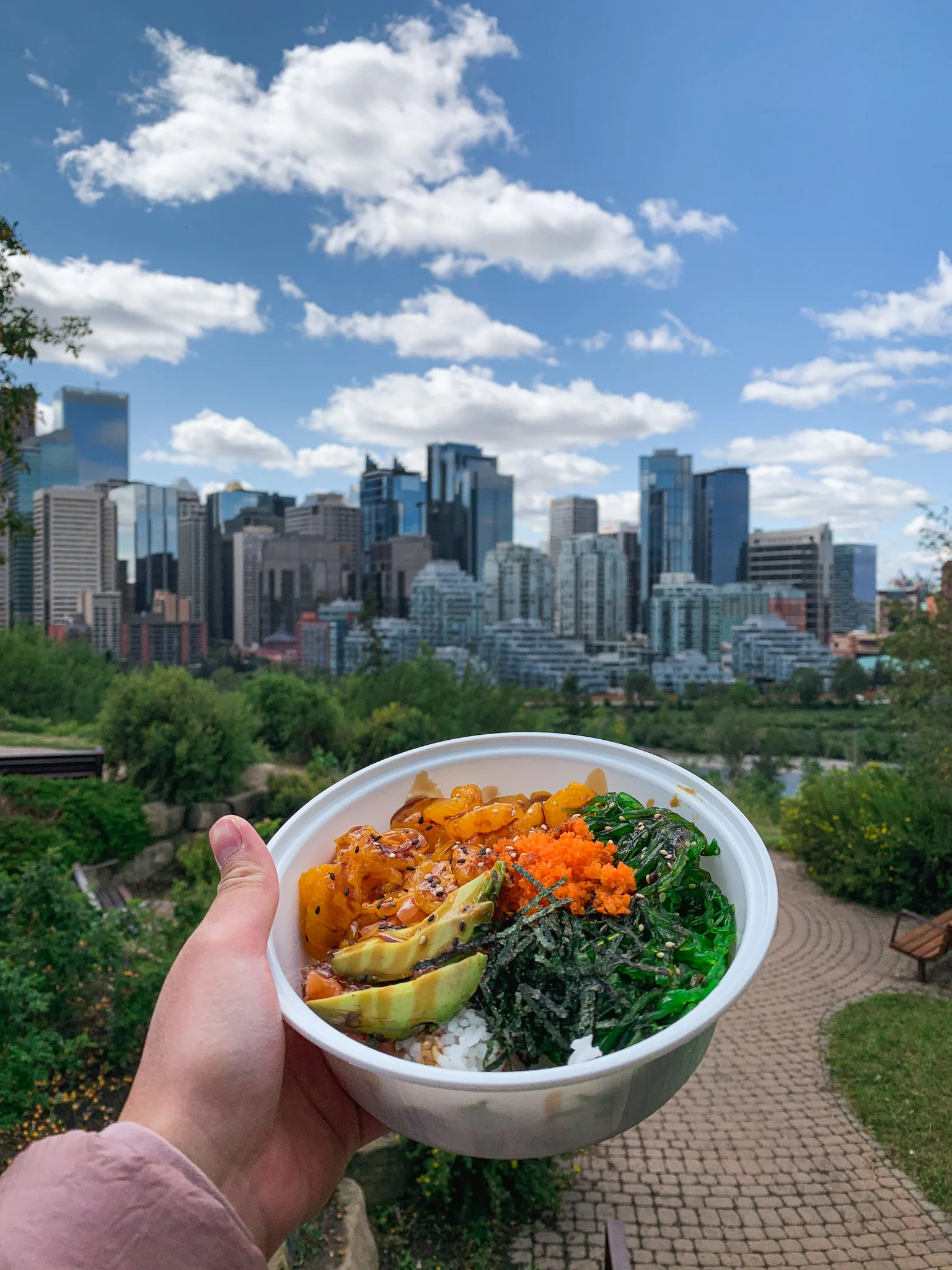 Poke bowl from Po-ke in Calgary, Alberta