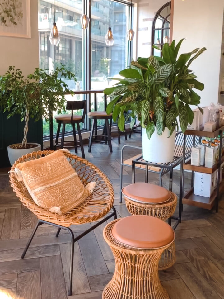 7 Best Cafes in North York You Must Visit