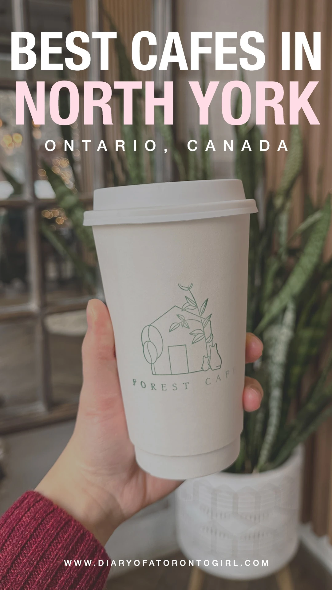 Best cafes in North York, Ontario