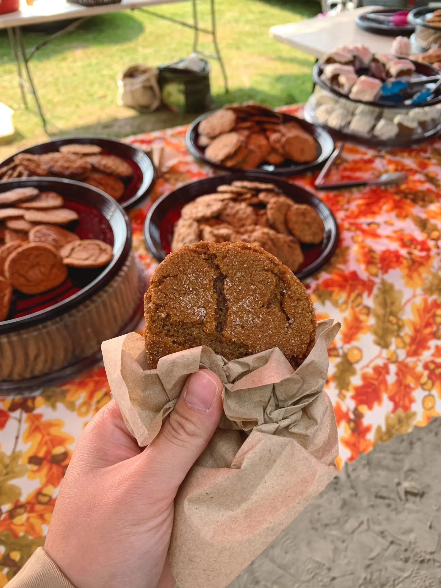 Ginger cookie from Aurora Farmers' Market in Aurora, Ontario