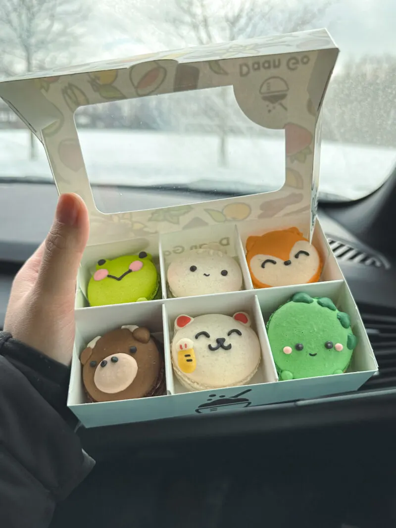 Character macarons from Daan Go Cake Lab in Richmond Hill, Ontario