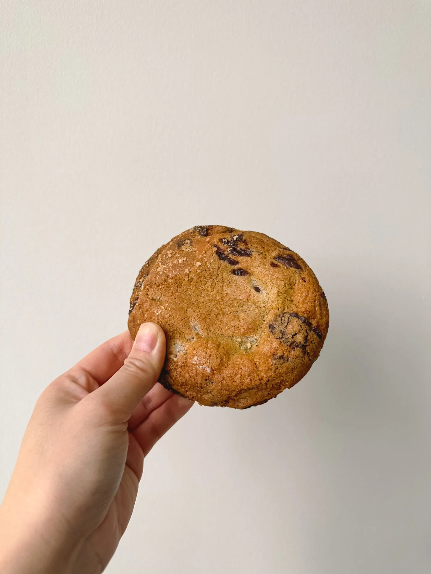 Chocolate chip cookie from Le Gourmand in Toronto