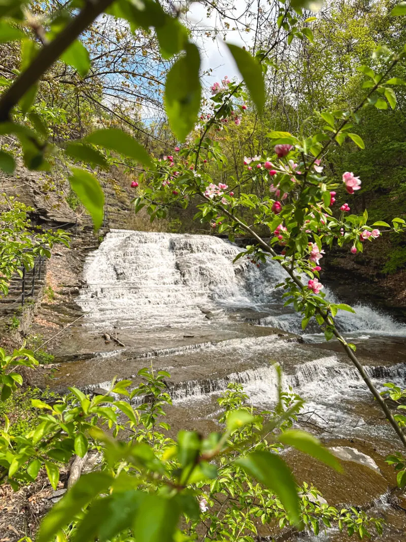 Cascadilla Gorge Trail in Ithaca, NY