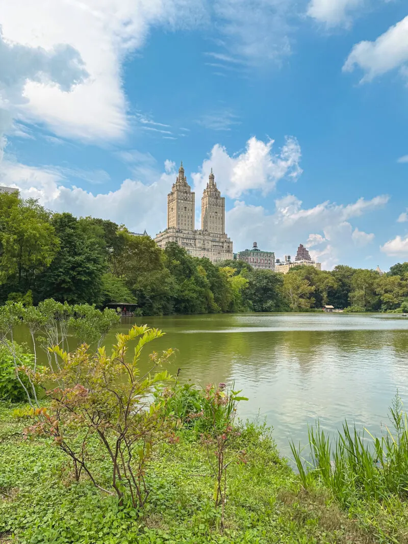 Central Park in NYC