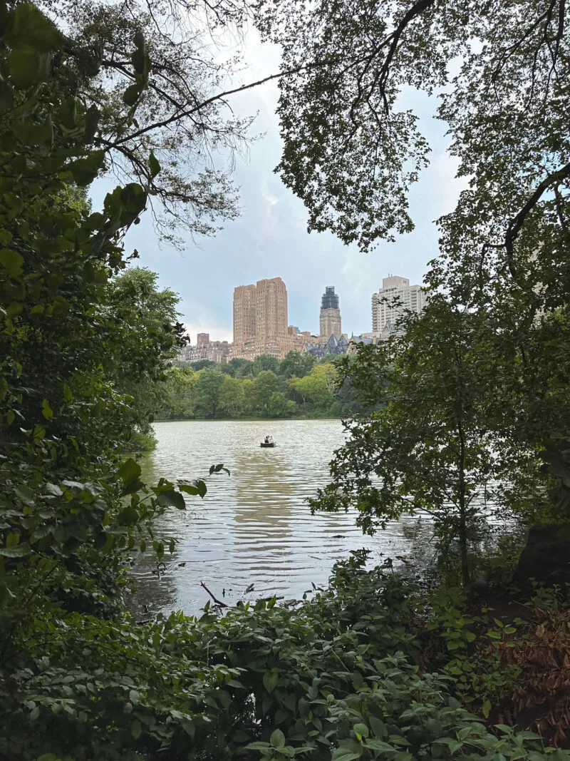 Central Park in NYC