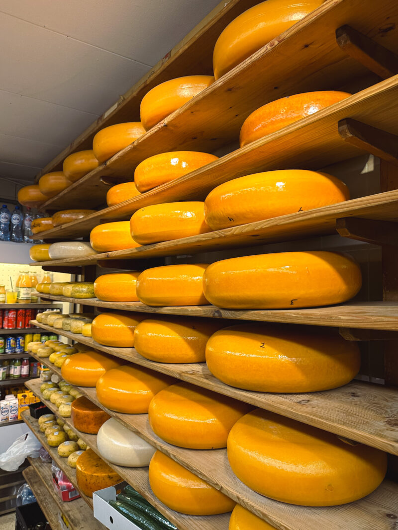 Dutch cheese in Amsterdam