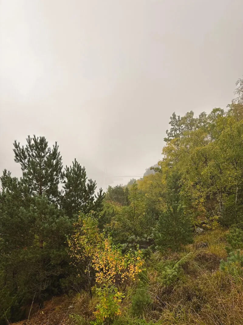 Høllesli viewpoint Stavanger