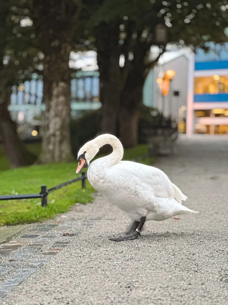 Kiellandshagen park in Stavanger, Norway