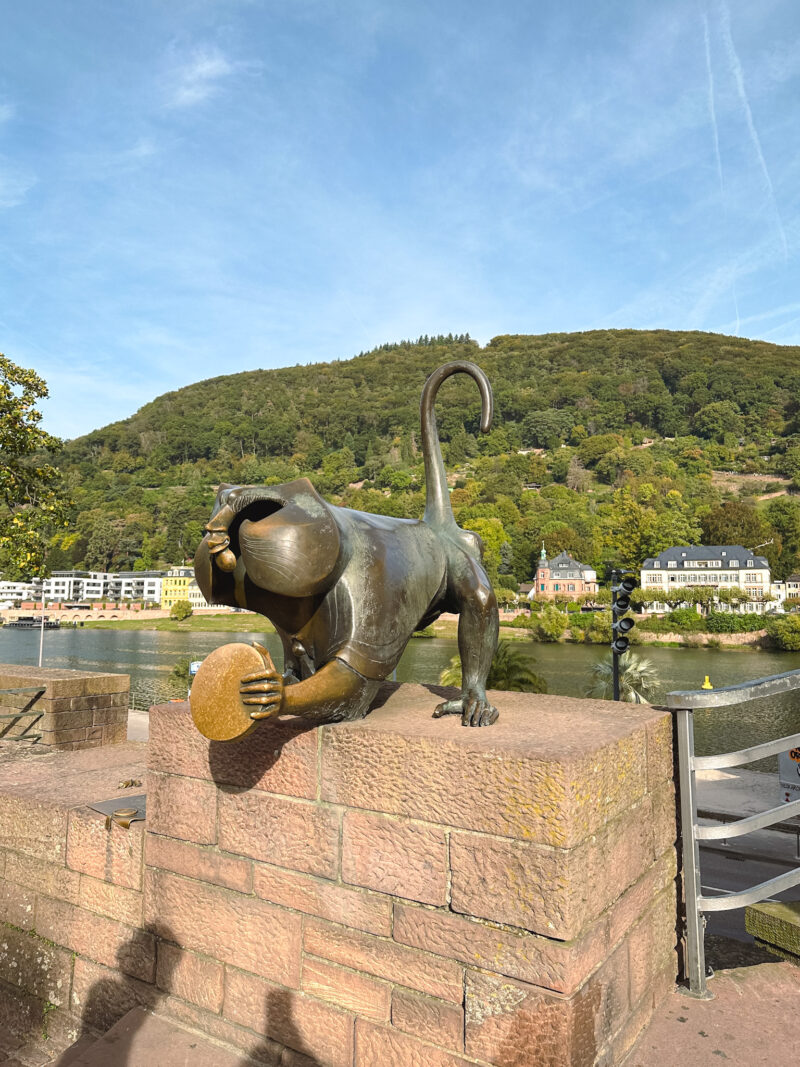 Monkey in Old Bridge Heidelberg in Heidelberg, Germany
