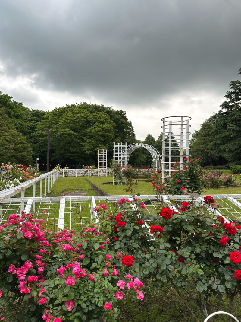 Yoyogi Park in Tokyo