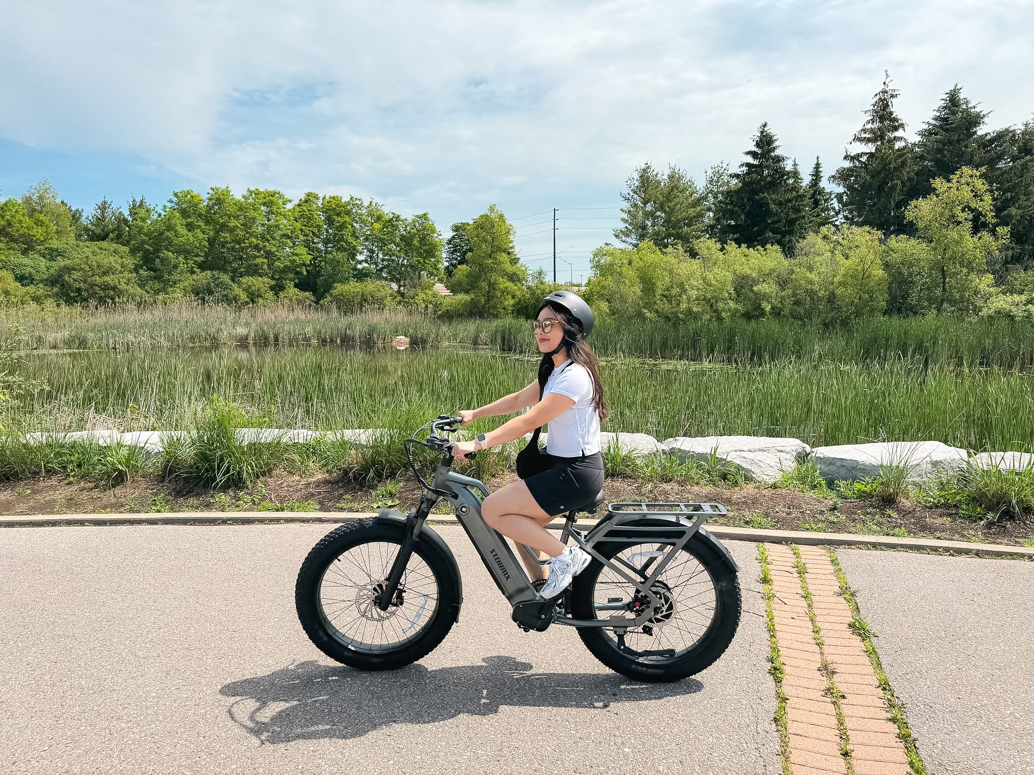 FavoriteBikes StormX Fat Tire E-Bike at Costco Canada